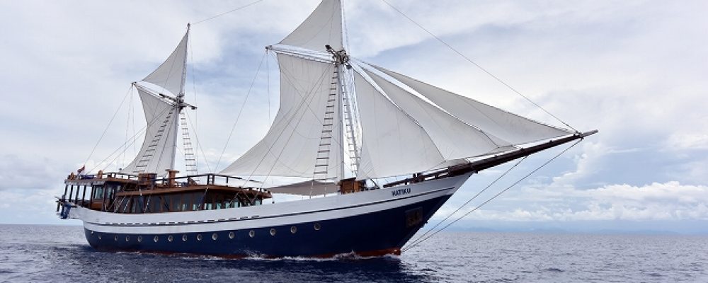 PSC ネットショップ