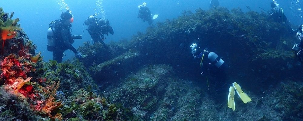 PSC ネットショップ